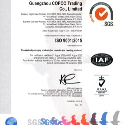 ISO 9001:2015 - COPCO